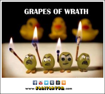 http://sanitaryum.files.wordpress.com/2013/03/grapes-of-wrath.png
